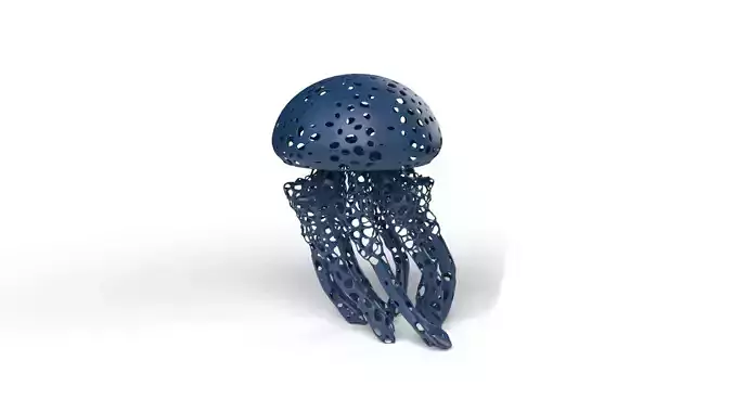 Jellyfish Voronoi