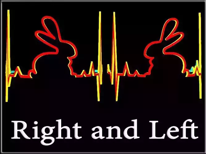 Rabbit heartbeat Curved - Right and Left  Low-poly 3D model