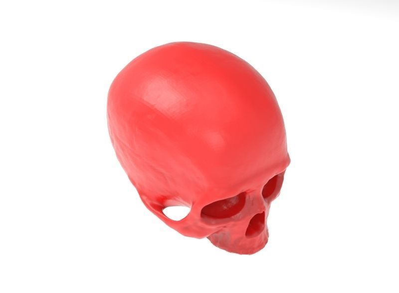 human skull 3D print model_8