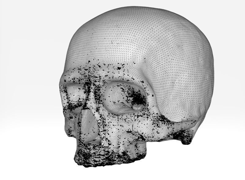 human skull 3D print model_12