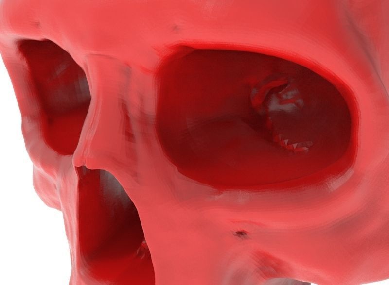 human skull 3D print model_7