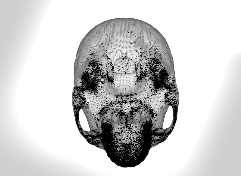 human skull 3D print model_11