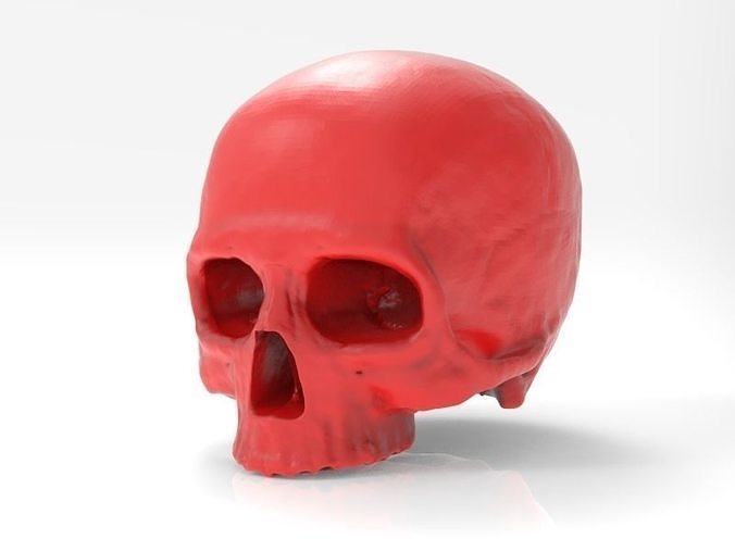  human skull 3D print model