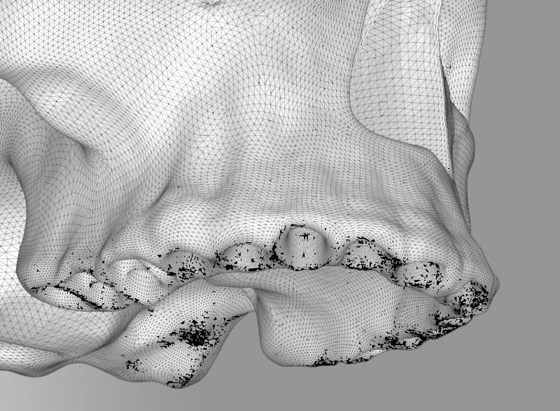 human skull 3D print model_9