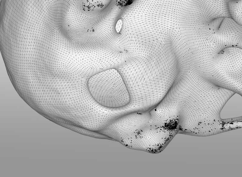human skull 3D print model_10