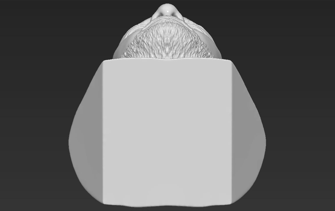 Idris Elba bust 3D printing ready stl obj formats 3D print model_27