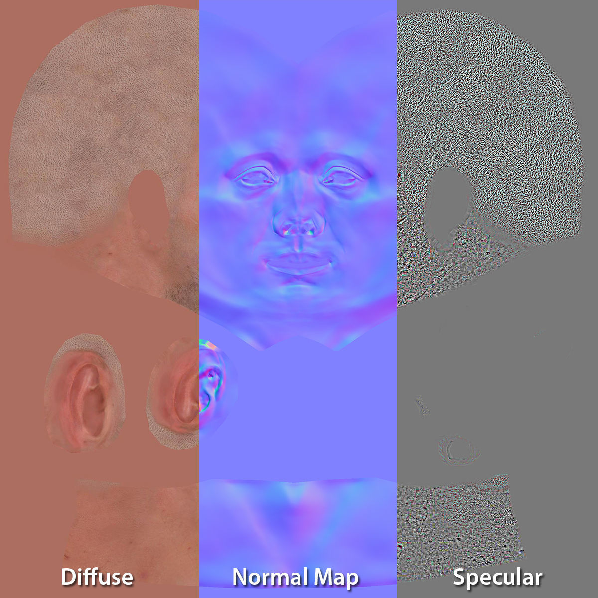 Hockey Player Canadiens Rigged for Maya 3D model_55