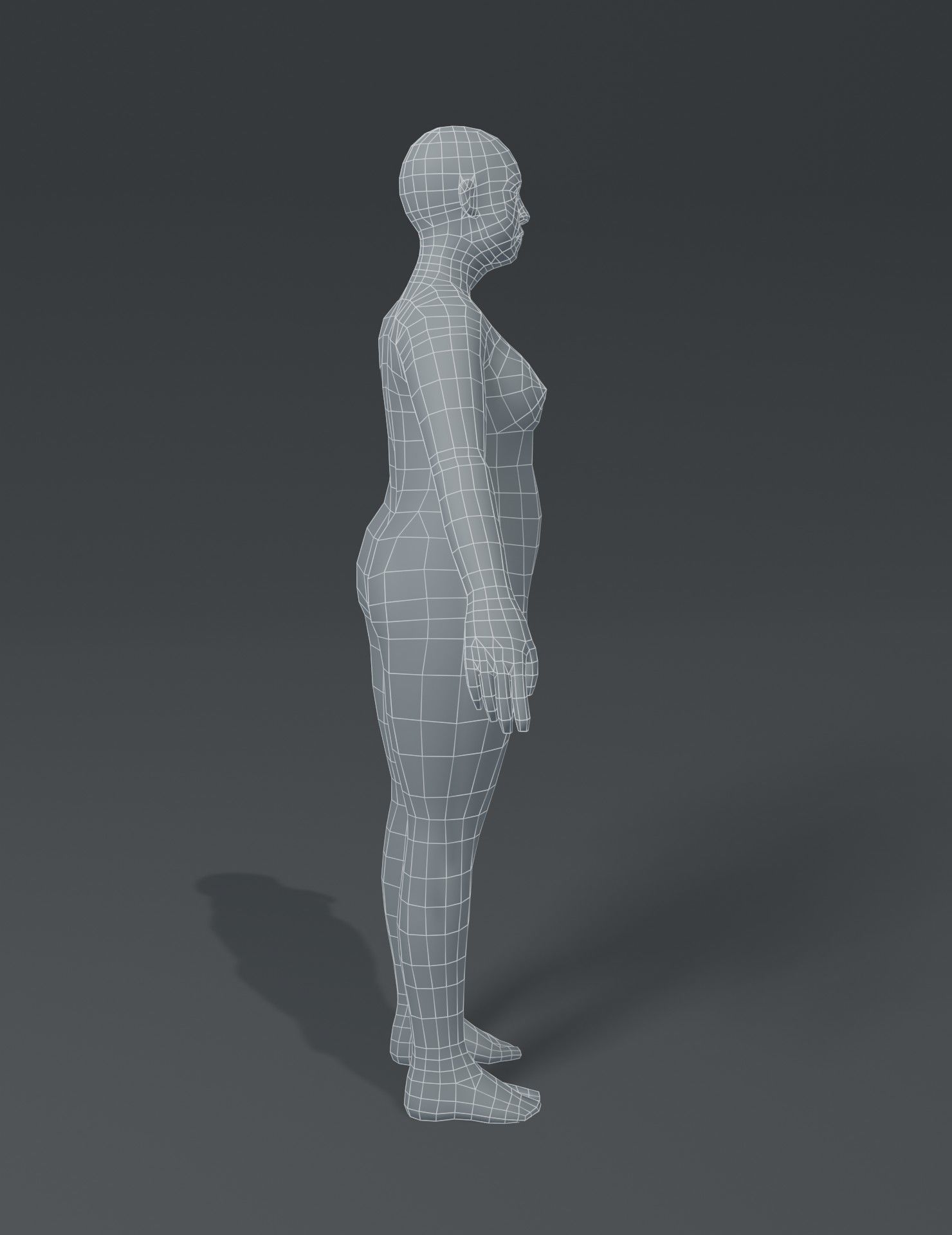 Fat Human Body Base Mesh 3D Model Family Pack Low-poly 3D model_11