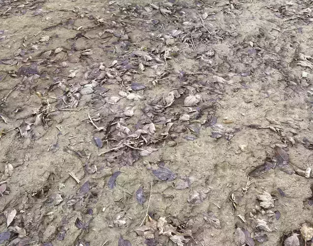 Muddy terrain PBR pack 1