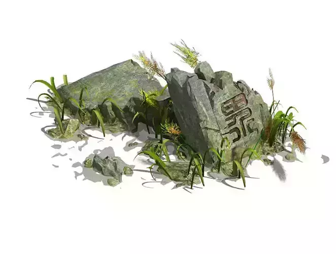 Grassland - Boundary