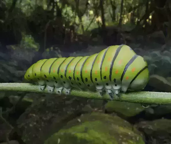 Caterpillar circle with dots 3D model