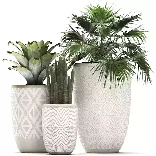 Decorative plants in flower pots for the interior 473