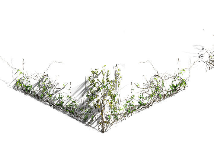 City Gate - Wall - Vineyard 3D model_1