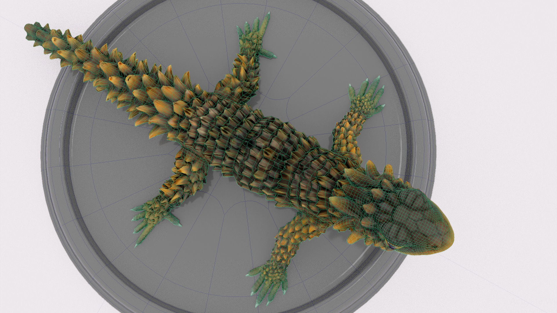 lizard on plate 3D model_11