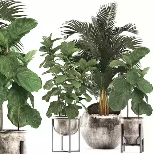 Decorative plants in flower pots for the interior 474
