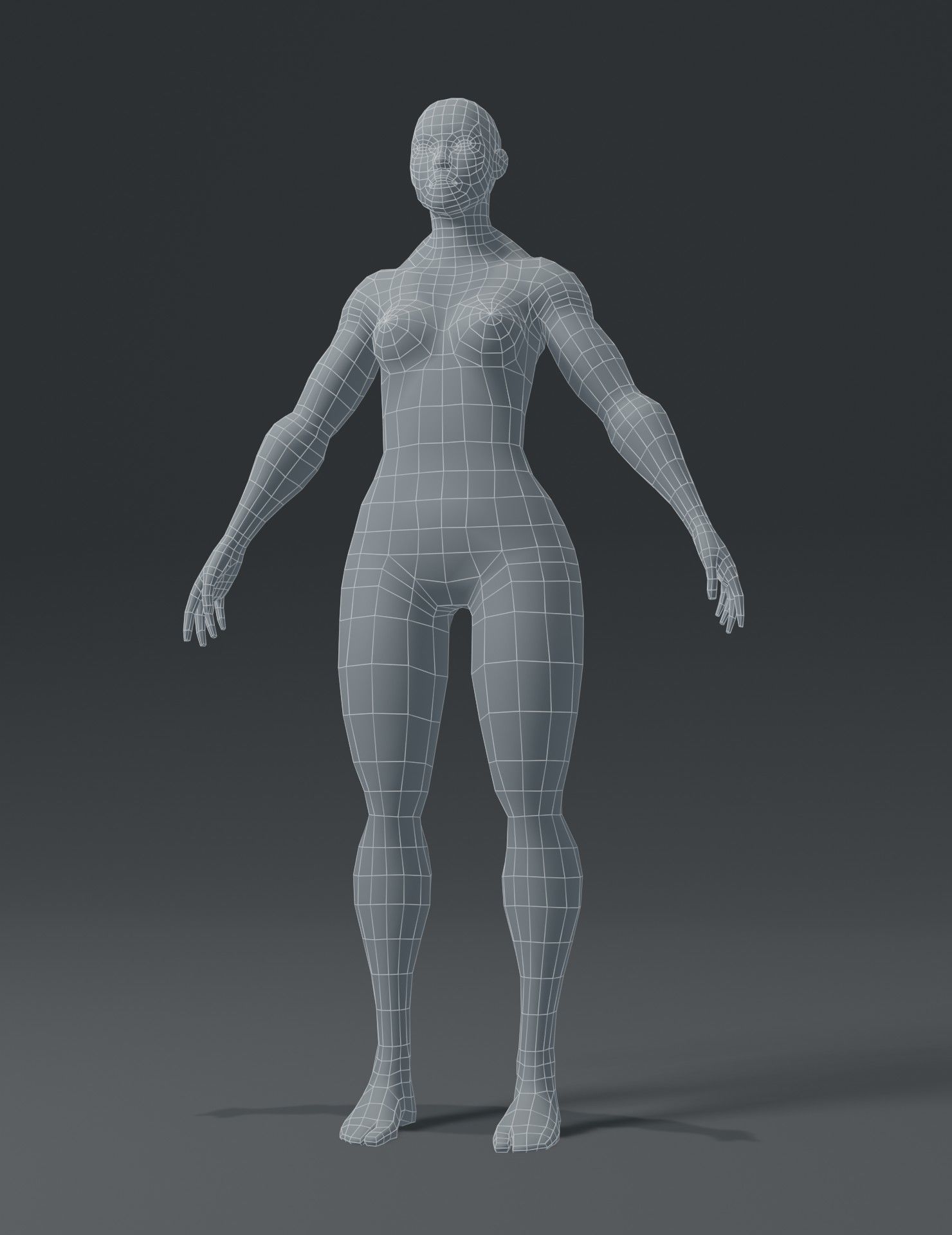 Superhero Muscular Human Male Female Body Base Mesh 3D Model Low-poly 3D model_13
