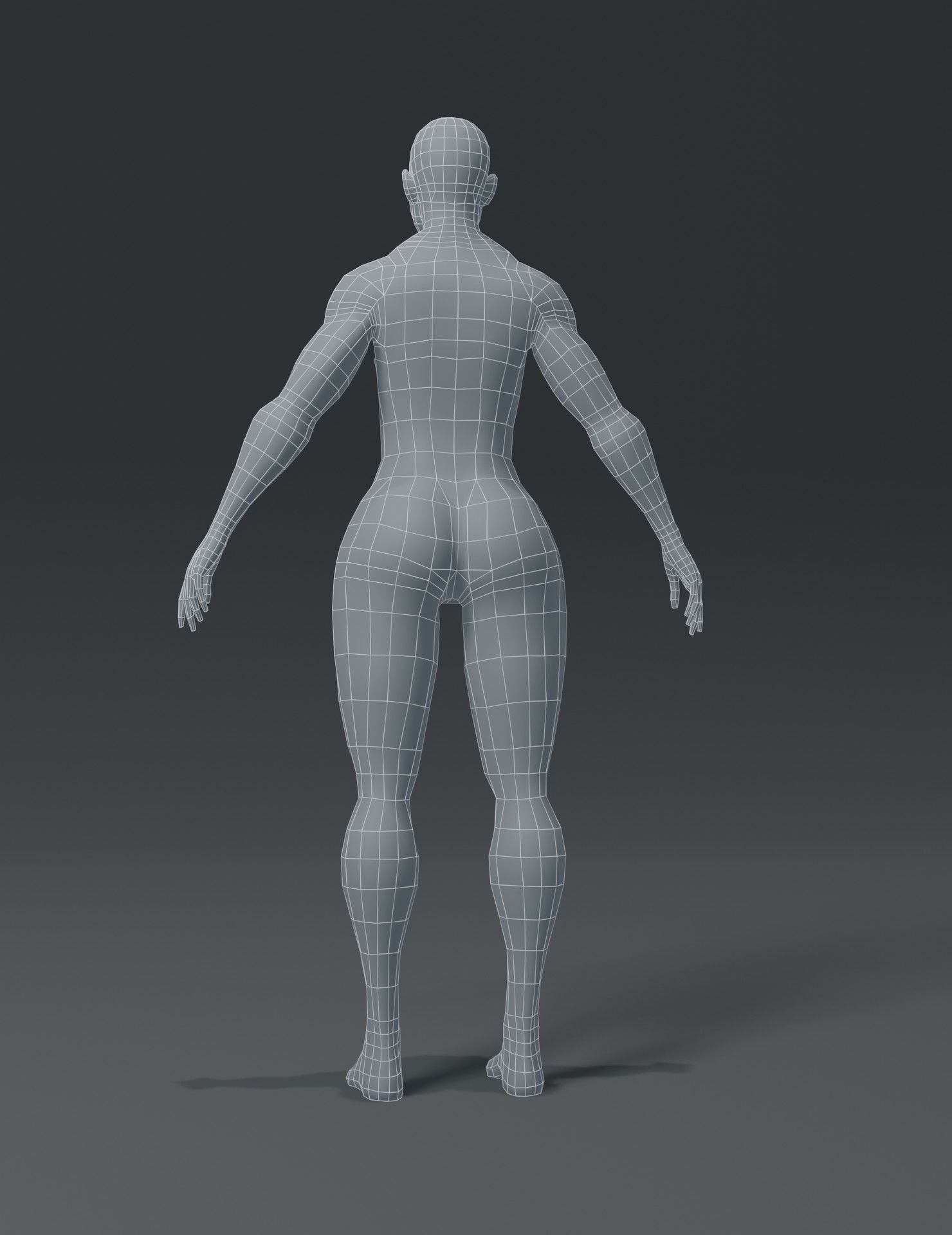 Superhero Muscular Human Male Female Body Base Mesh 3D Model Low-poly 3D model_18
