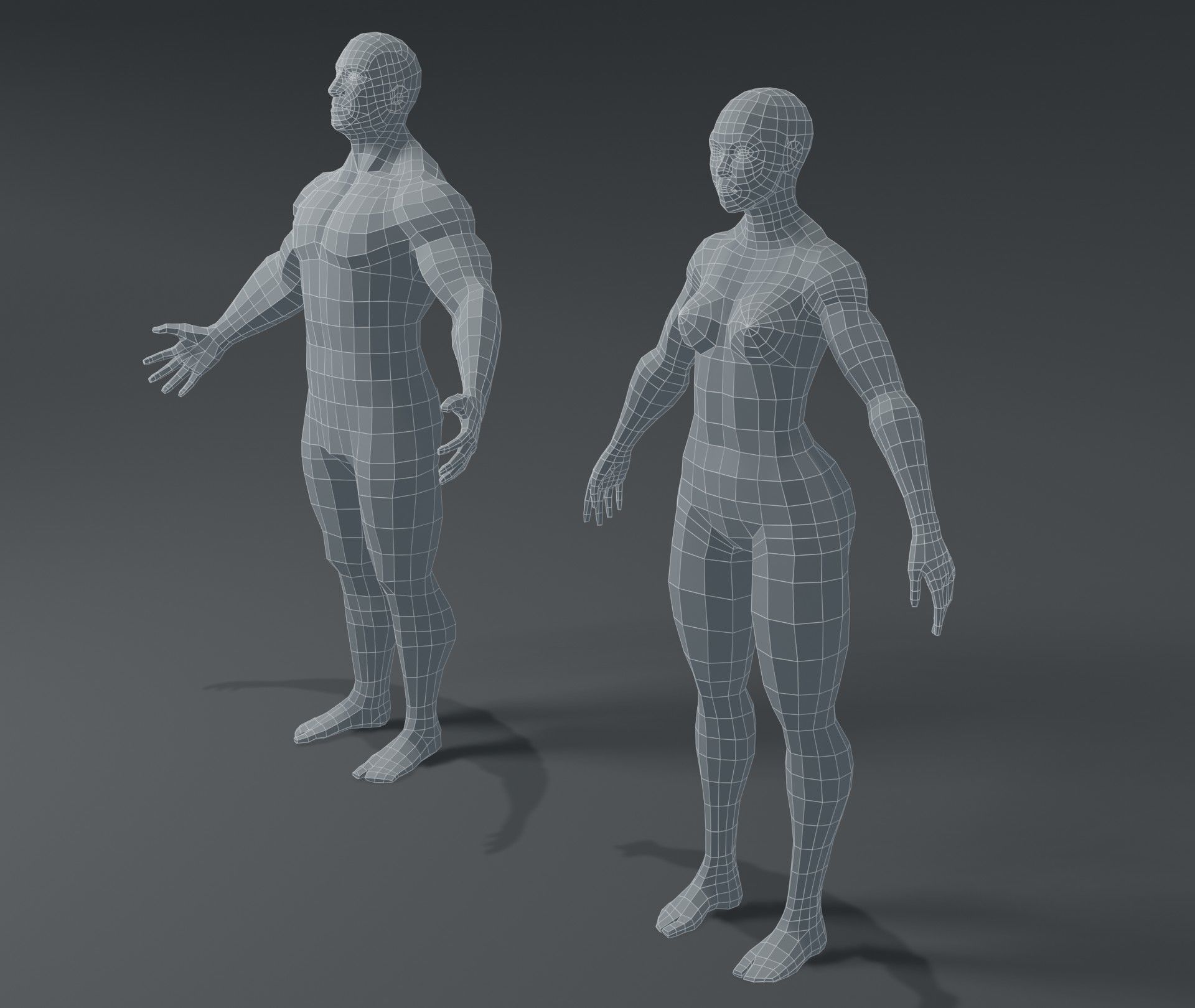 Superhero Muscular Human Male Female Body Base Mesh 3D Model Low-poly 3D model_3