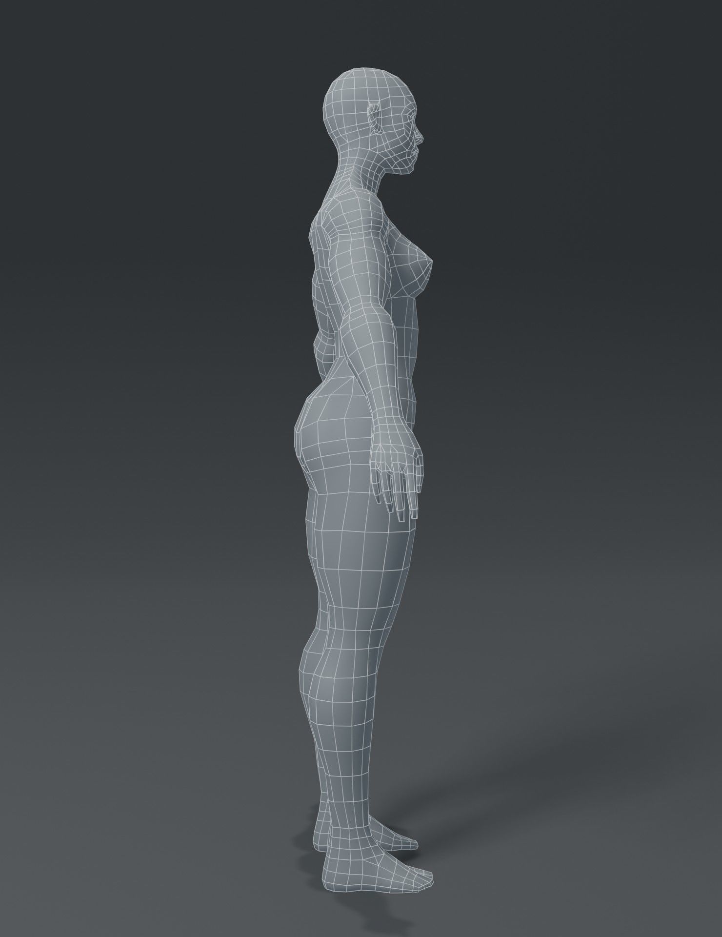 Superhero Muscular Human Male Female Body Base Mesh 3D Model Low-poly 3D model_16
