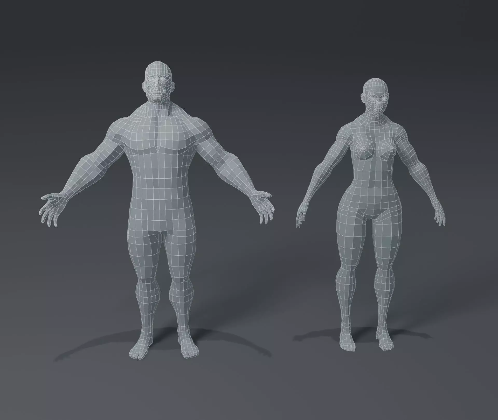 Superhero Muscular Human Male Female Body Base Mesh 3D Model Low-poly 3D model_0