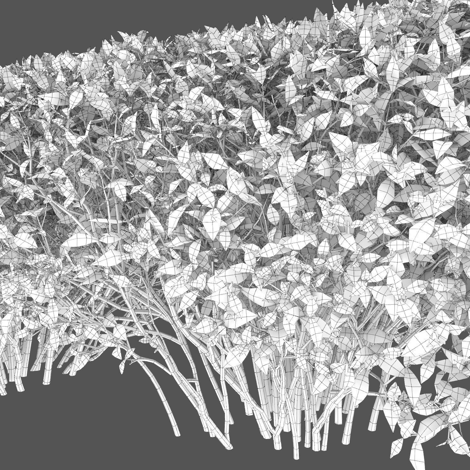 Cornus Alba Elegantissima Hedge 02 3D model_3