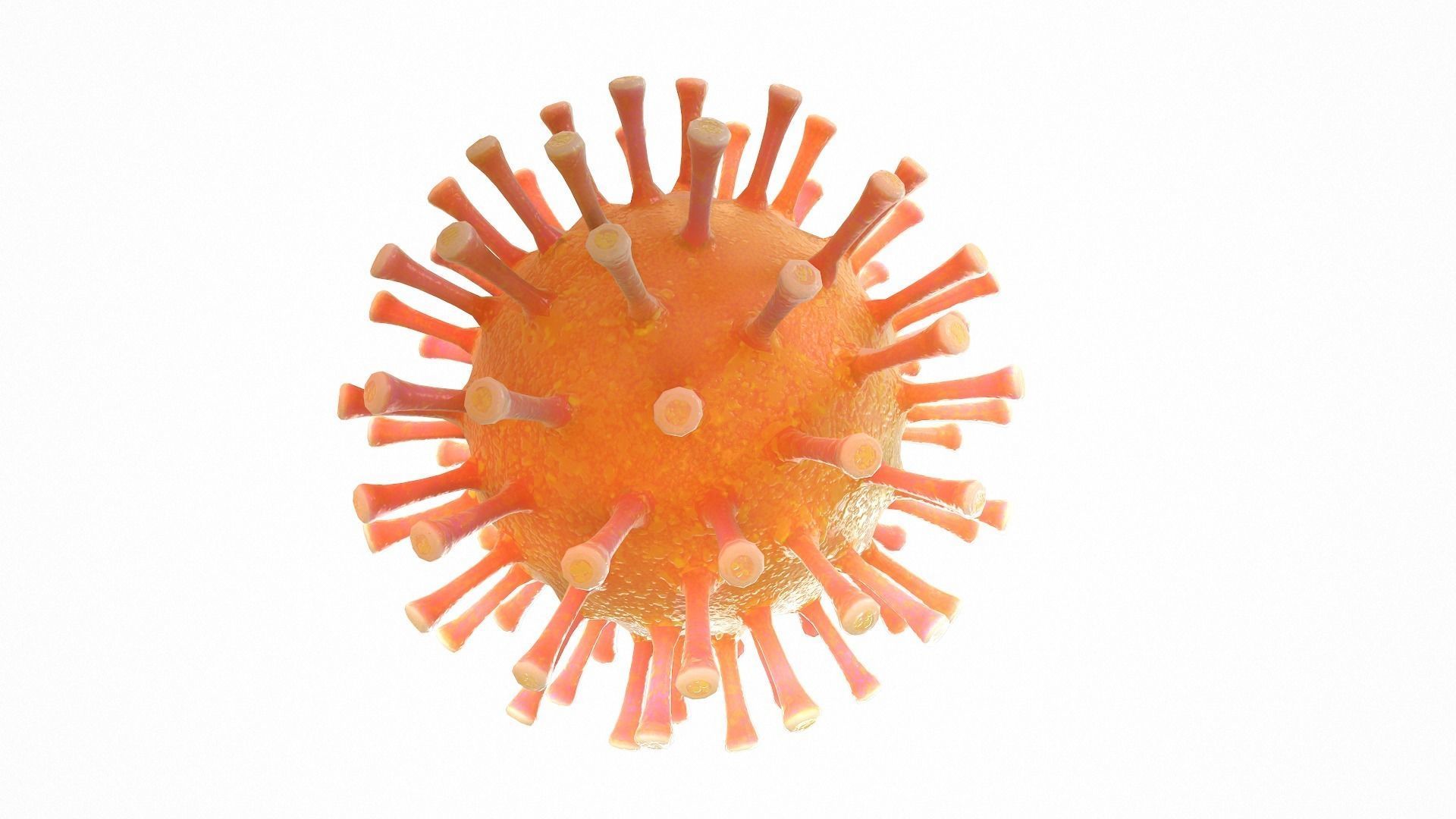 Coronavirus COVID 19 Low-poly 3D model_6