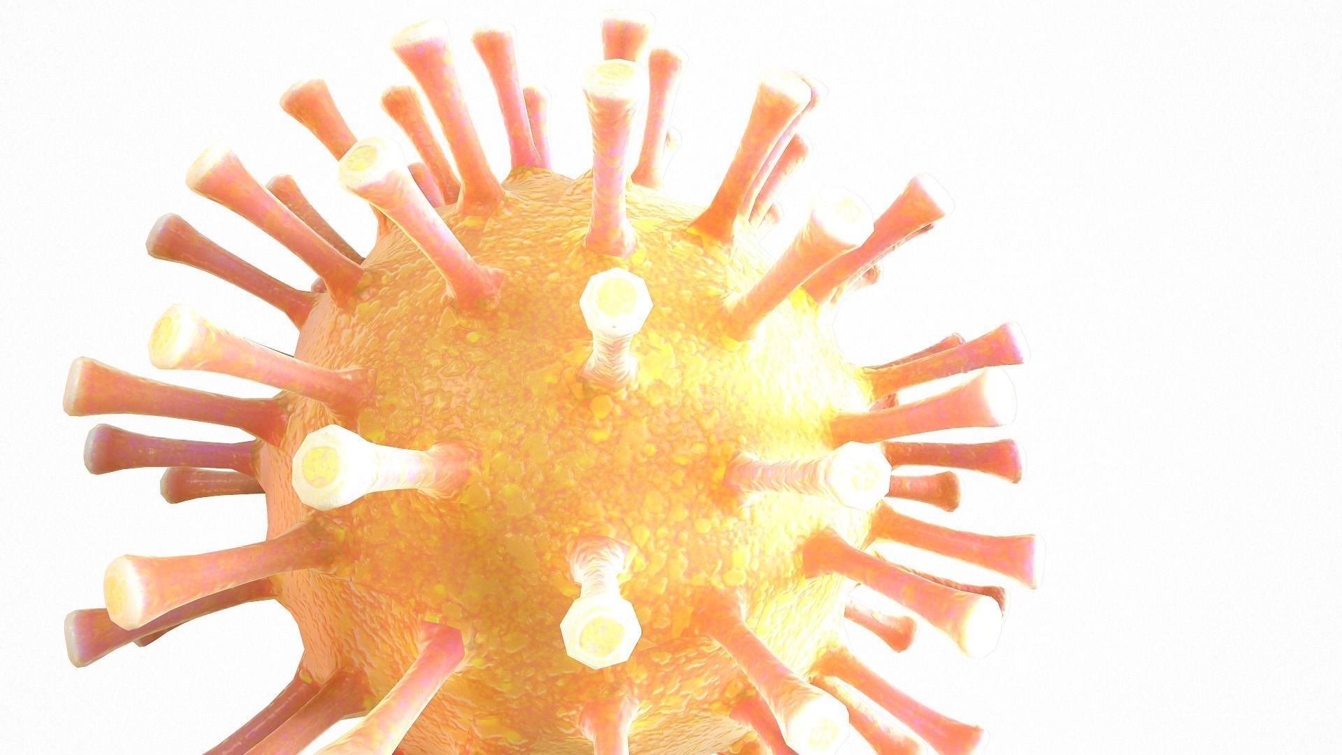 Coronavirus COVID 19 Low-poly 3D model_7