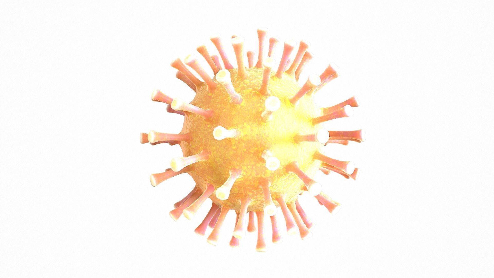Coronavirus COVID 19 Low-poly 3D model_4