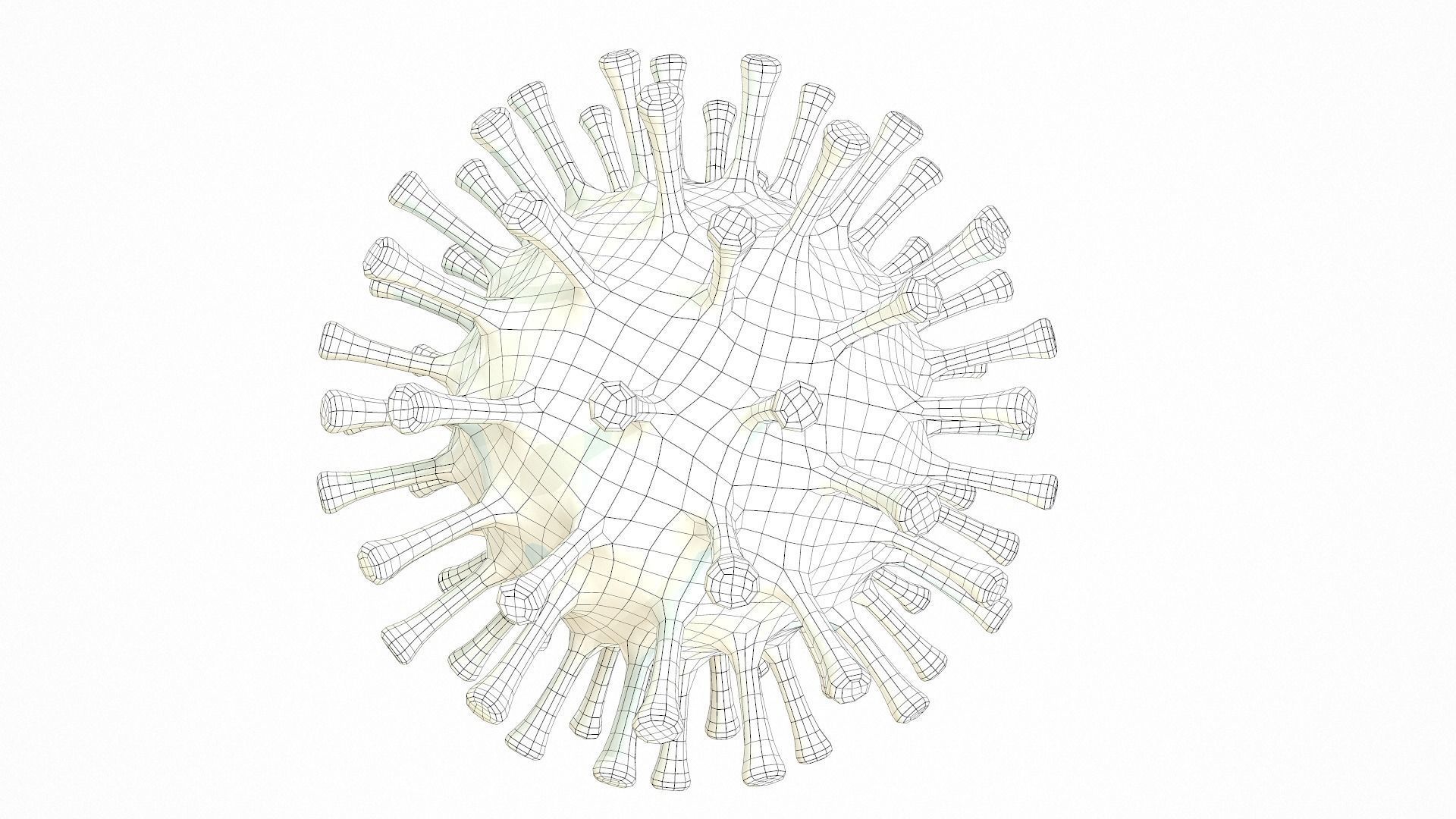 Coronavirus COVID 19 Low-poly 3D model_12