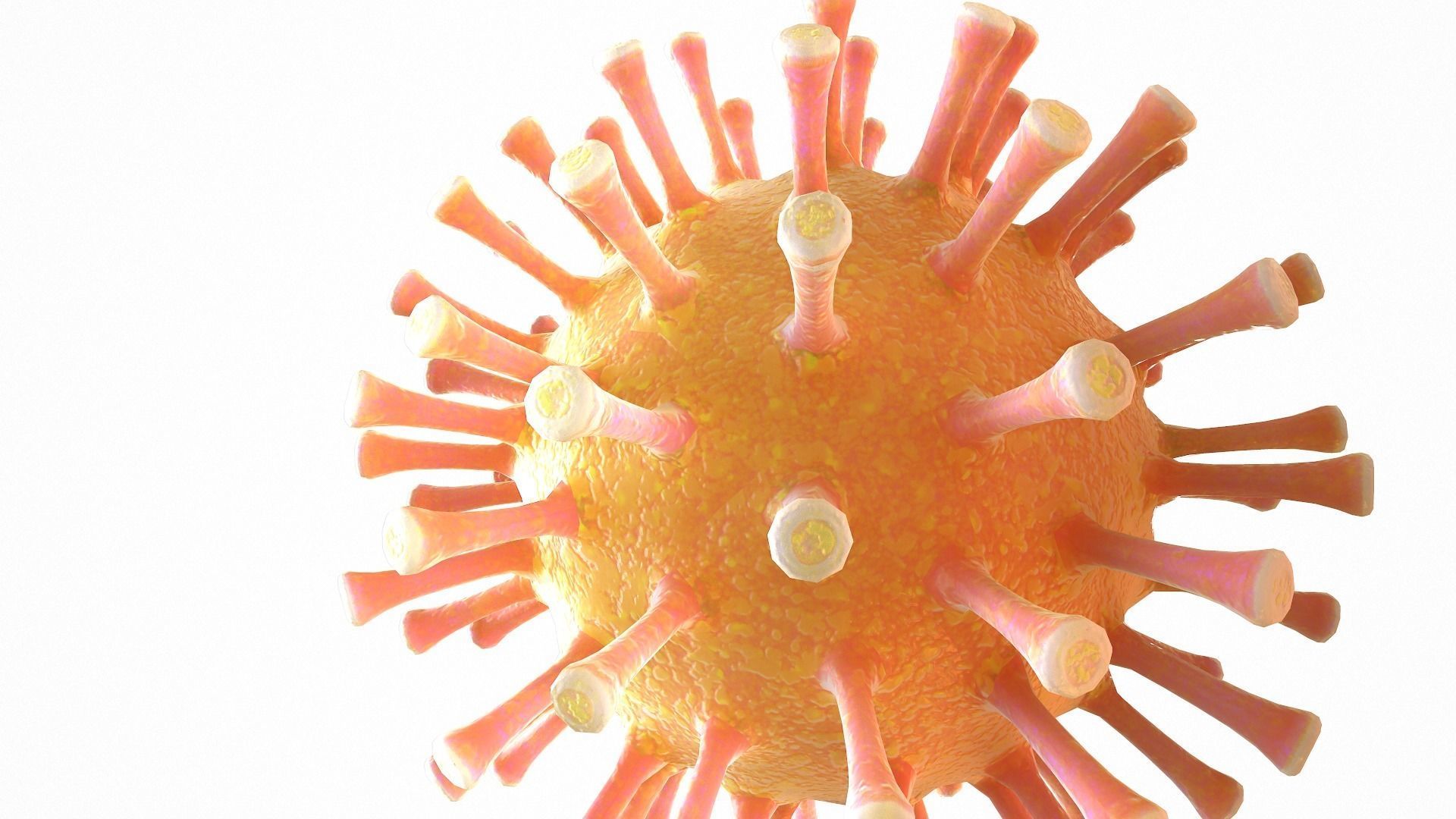 Coronavirus COVID 19 Low-poly 3D model_9