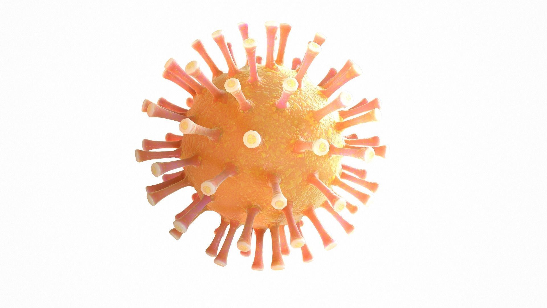 Coronavirus COVID 19 Low-poly 3D model_5