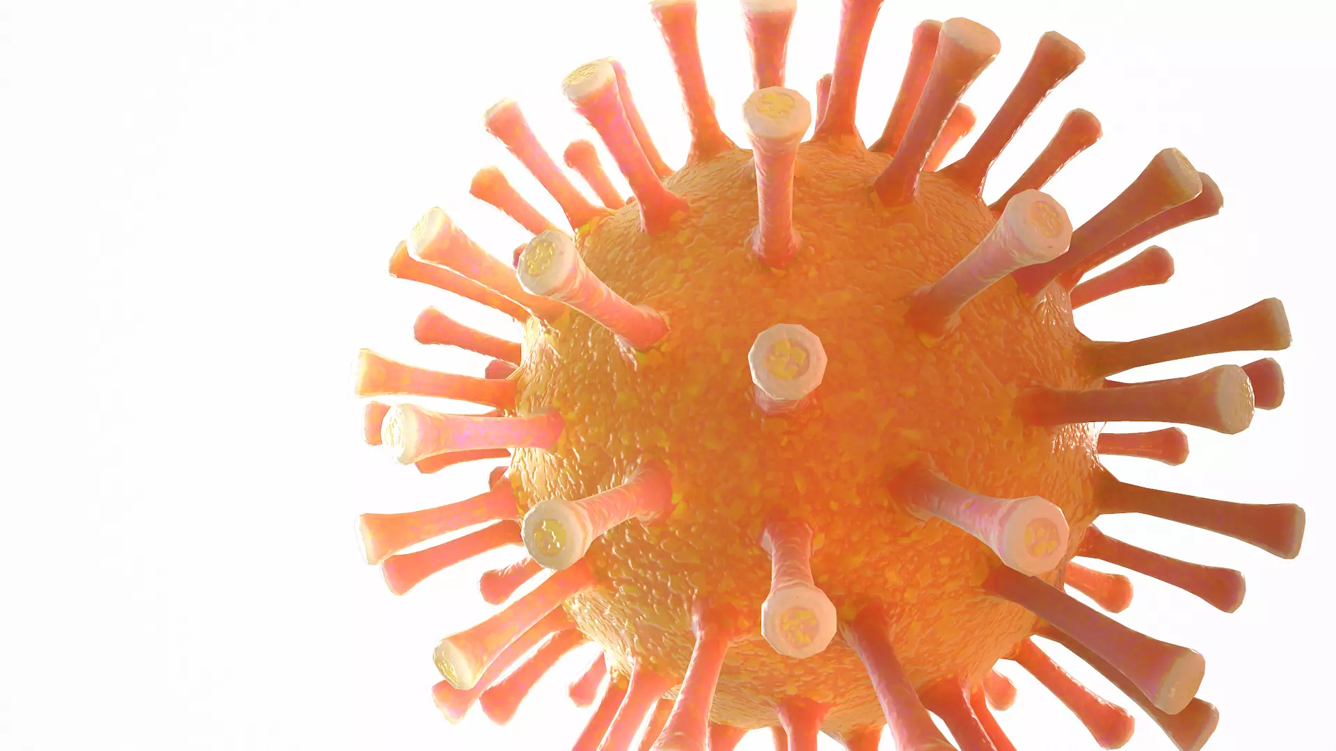 Coronavirus COVID 19 Low-poly 3D model_0