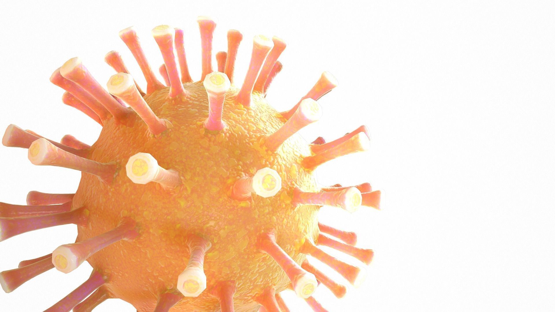 Coronavirus COVID 19 Low-poly 3D model_8