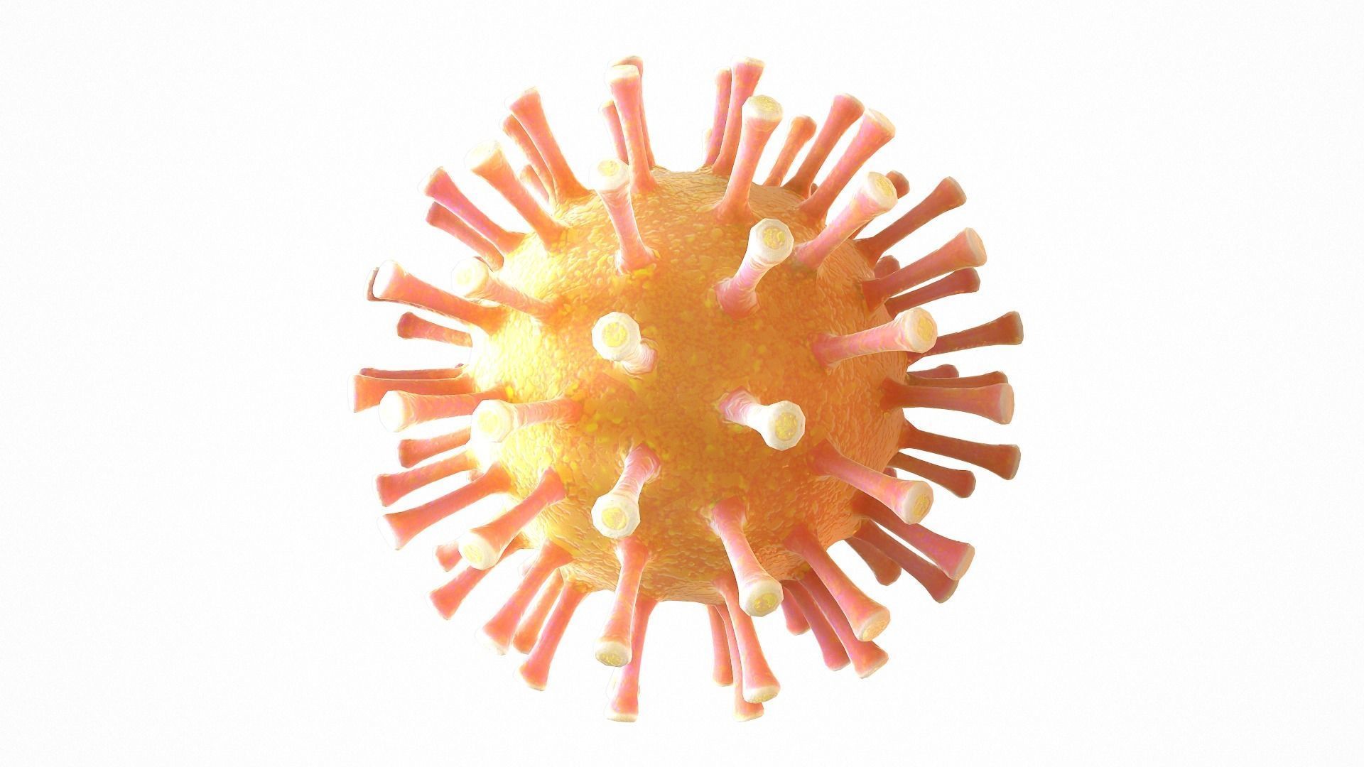 Coronavirus COVID 19 Low-poly 3D model_3