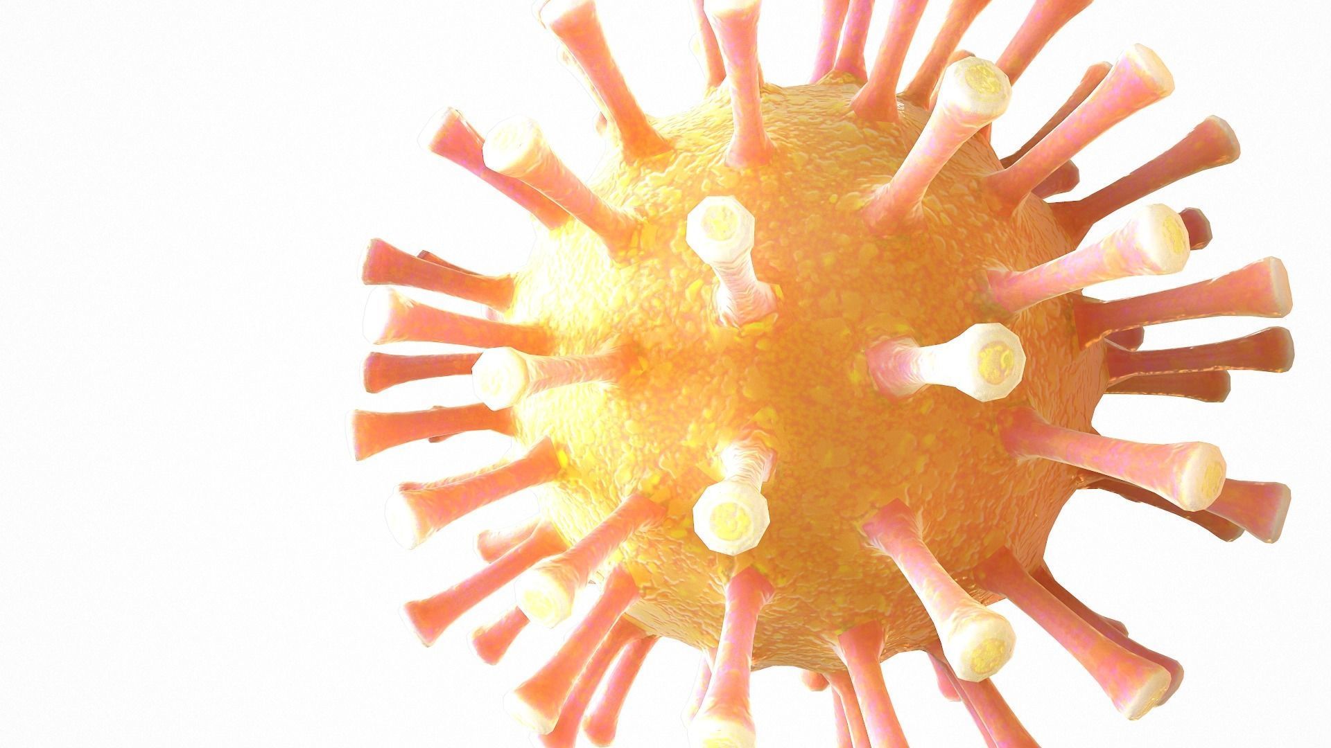 Coronavirus COVID 19 Low-poly 3D model_10