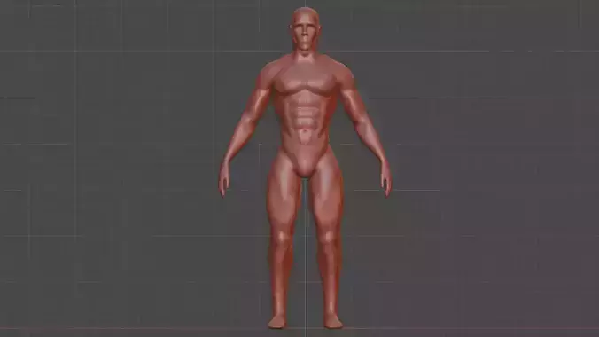Male Body 