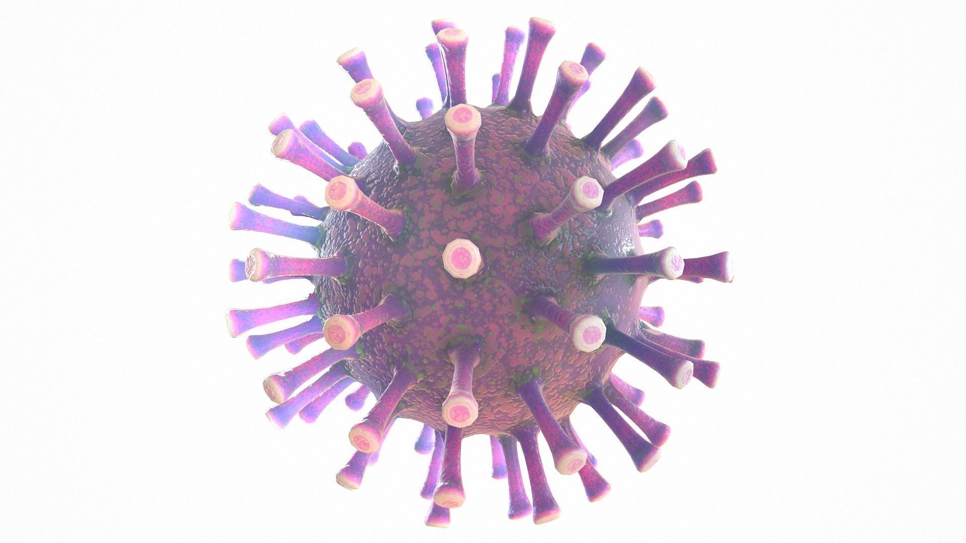 Coronavirus COVID 19 Low-poly 3D model_2