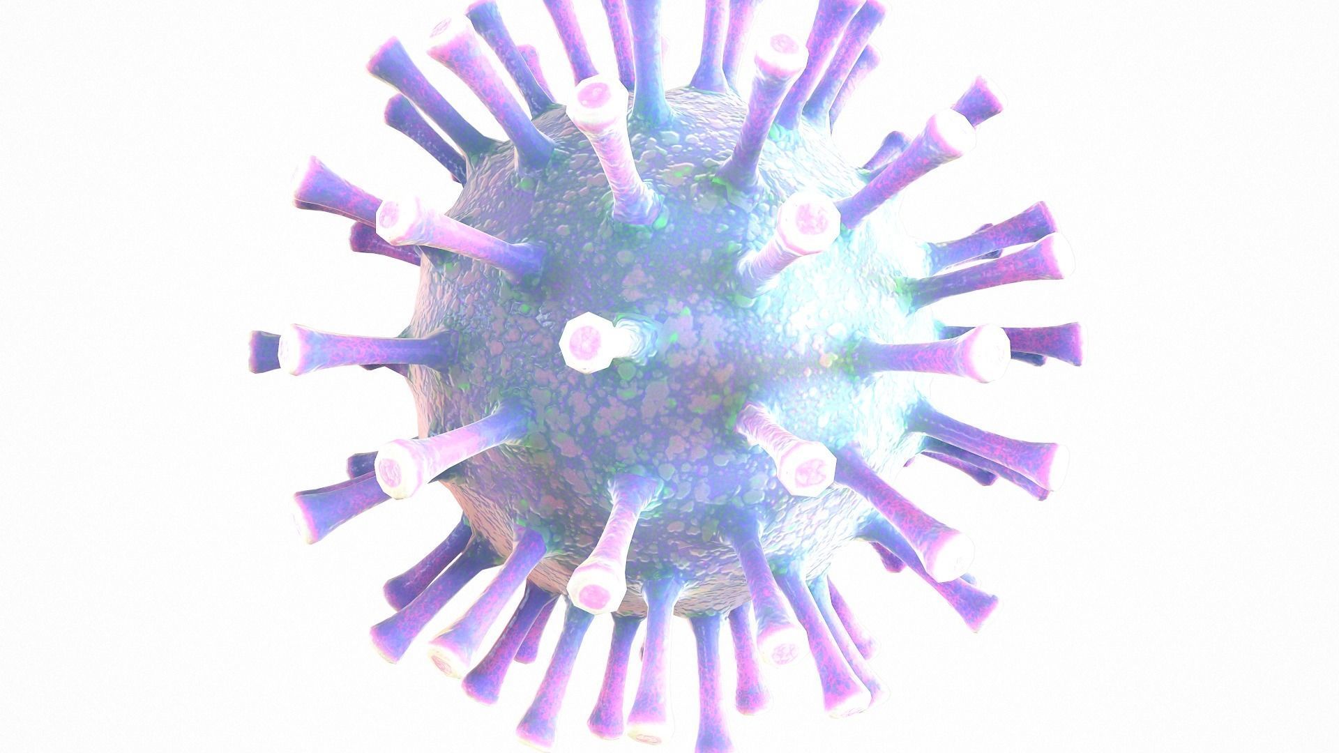 Coronavirus COVID 19 Low-poly 3D model_6