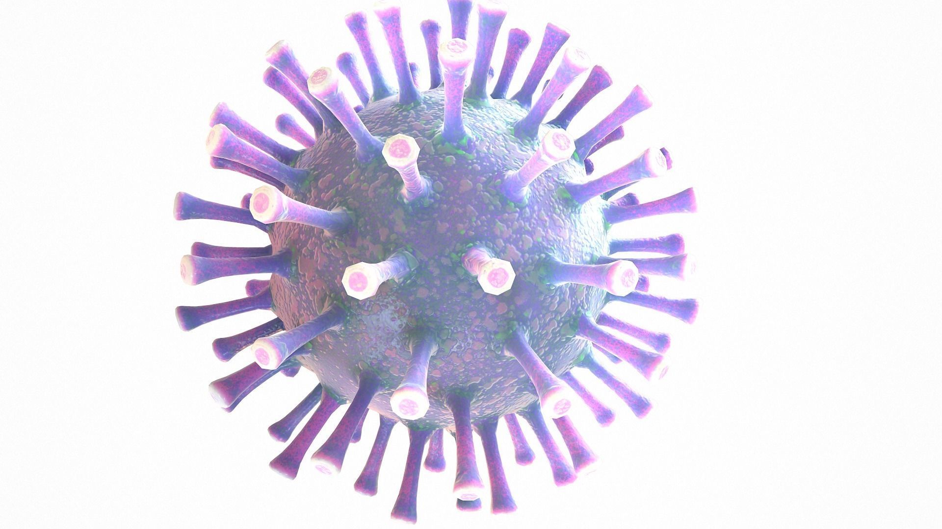 Coronavirus COVID 19 Low-poly 3D model_4