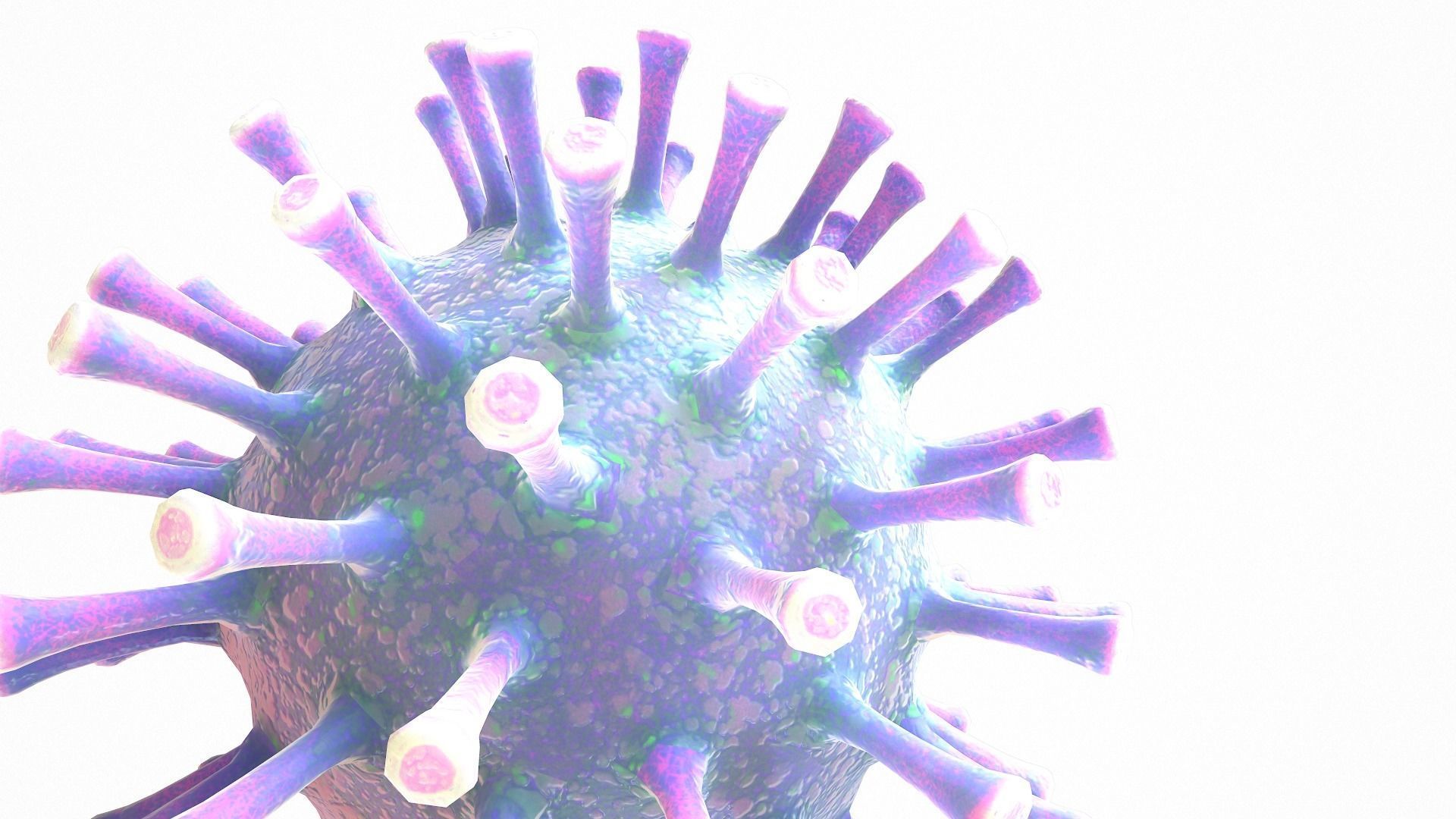 Coronavirus COVID 19 Low-poly 3D model_5