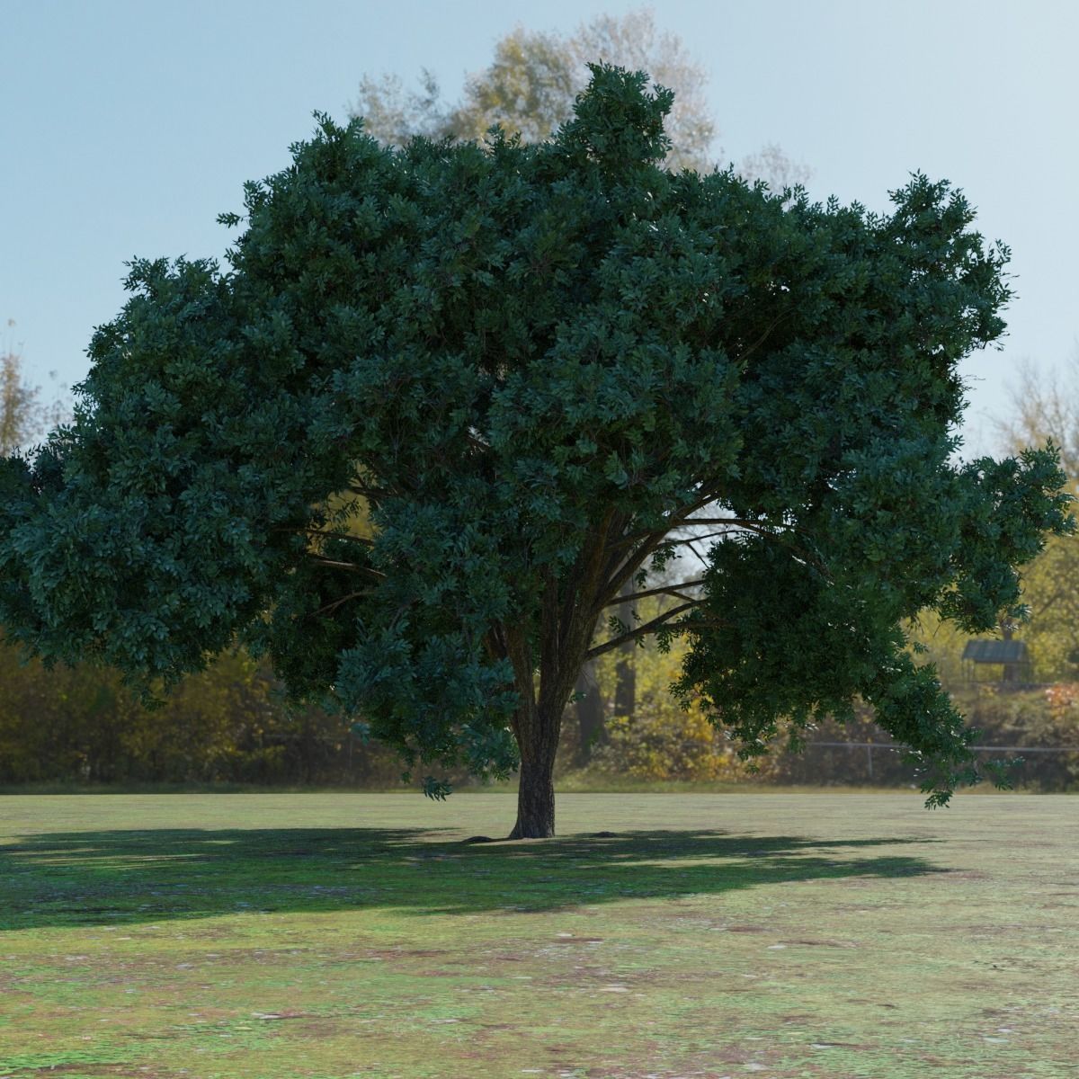 Big tree 3D model_2