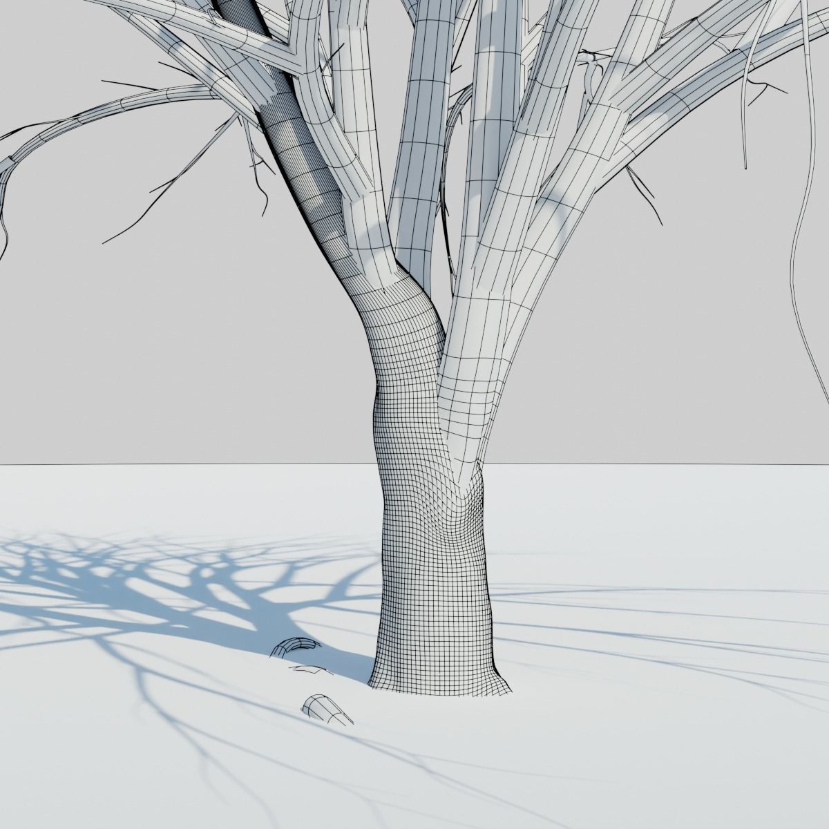 Big tree 3D model_10