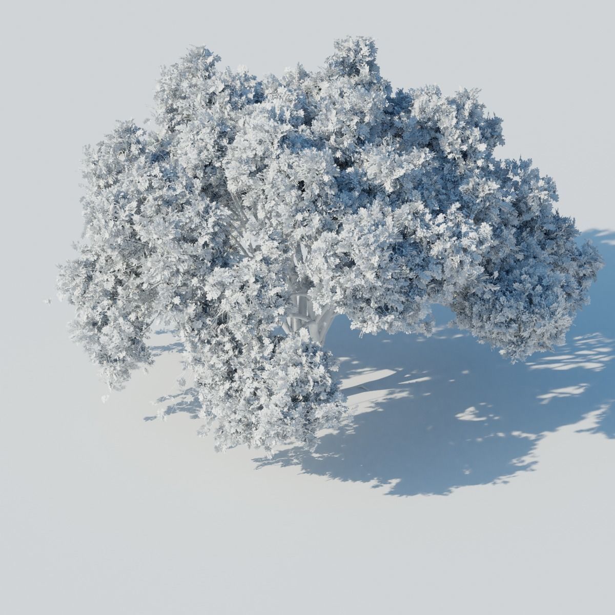 Big tree 3D model_9