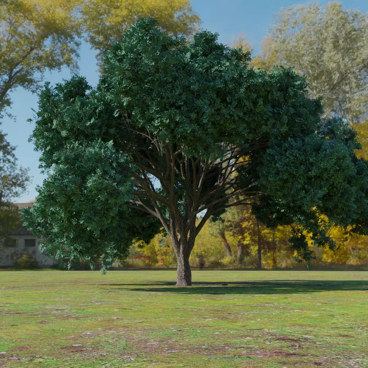 Big tree 3D model_0