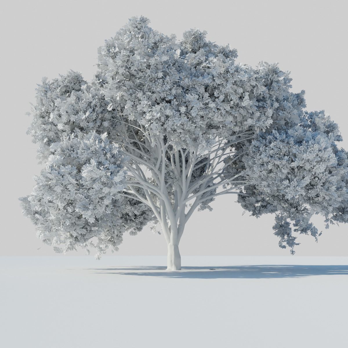 Big tree 3D model_8