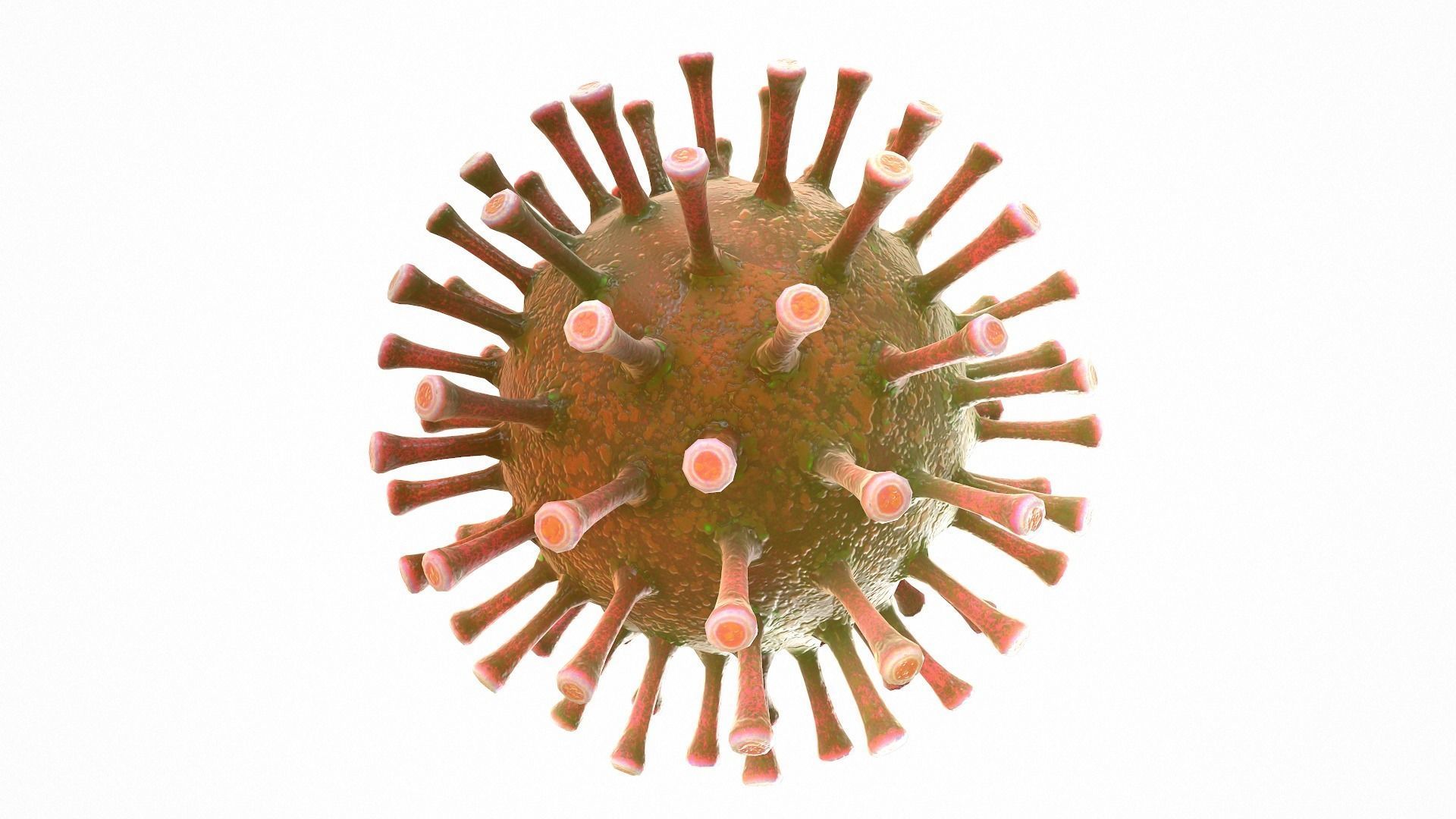 Coronavirus COVID 19 Low-poly 3D model_7