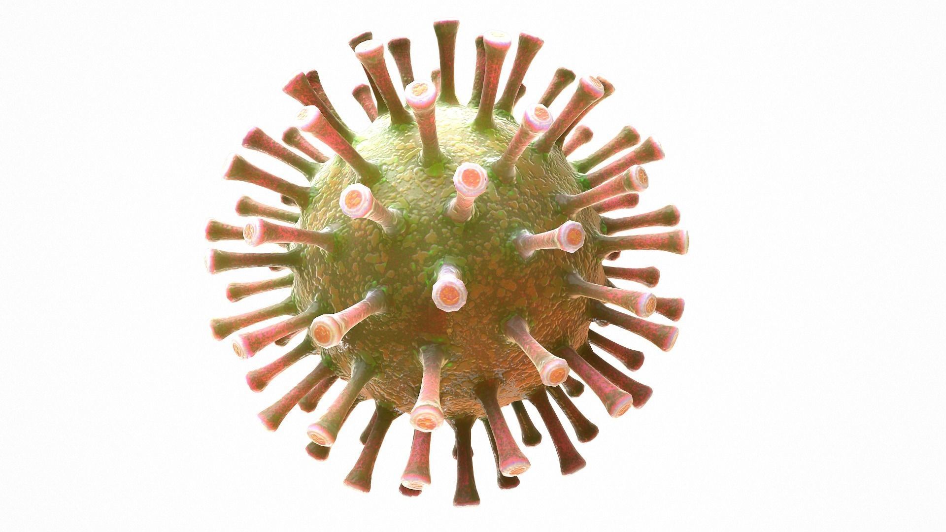 Coronavirus COVID 19 Low-poly 3D model_6
