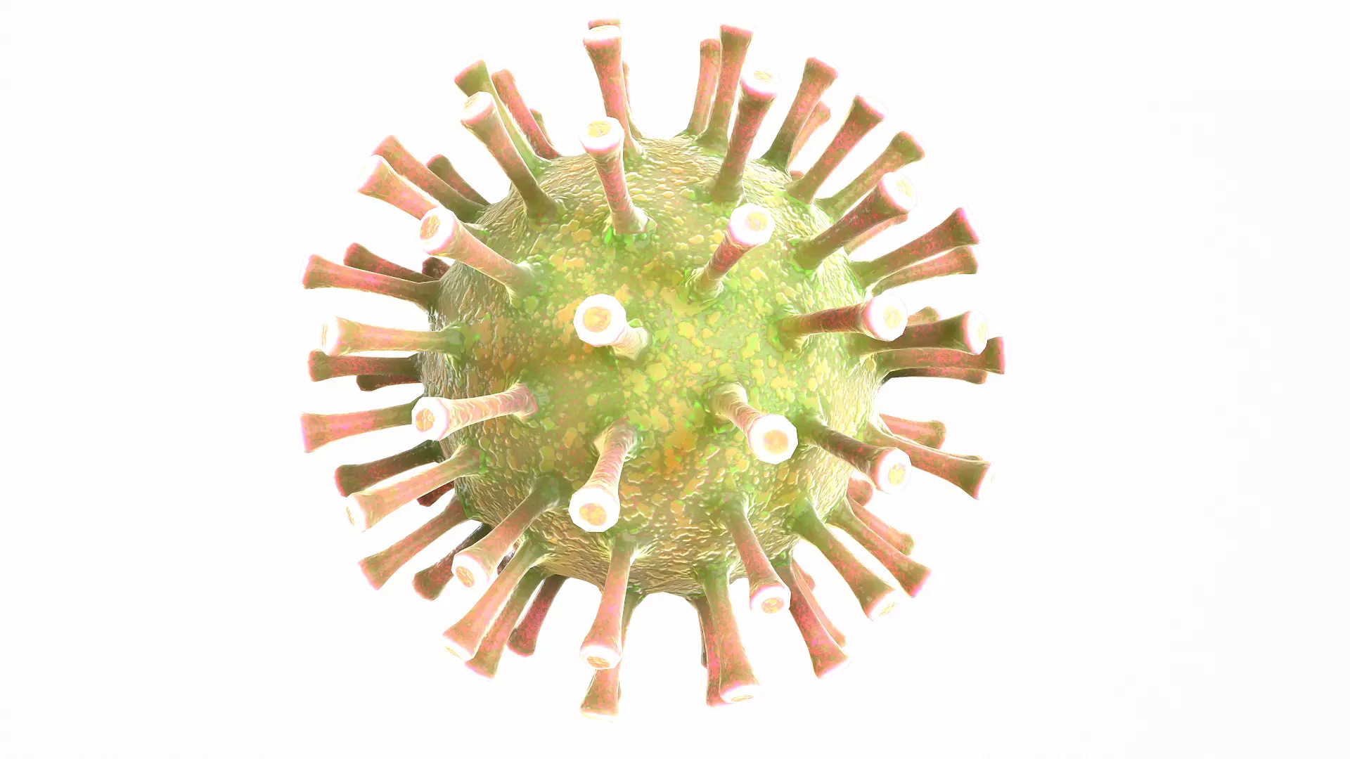 Coronavirus COVID 19 Low-poly 3D model_0