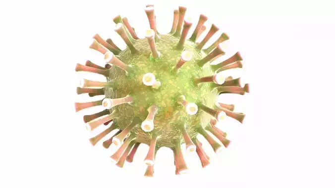 Coronavirus COVID 19 Low-poly 3D model