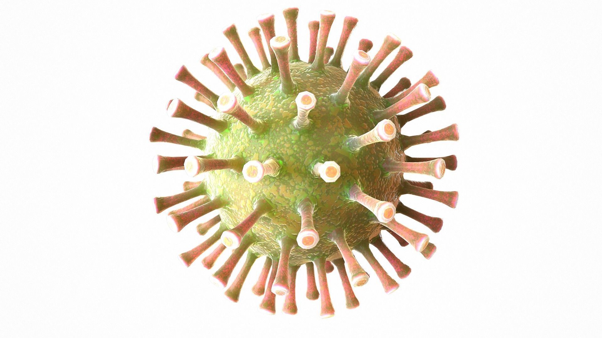 Coronavirus COVID 19 Low-poly 3D model_2